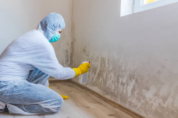 Crawl Space Mold Remediation treatment of floor joists in Glenwood Landing